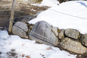 The ground was covered with snow