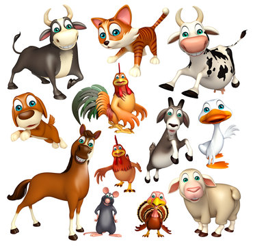 Fototapeta Farm animal collection