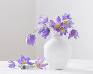 spring flowers in vase on white background