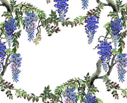 blue wisteria tree