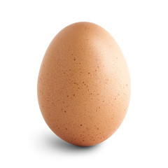 Single brown chicken egg