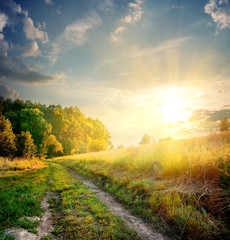 Sunbeams and country road