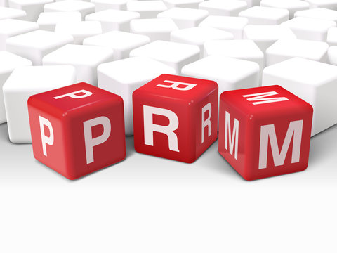 3d dice illustration with word PRM