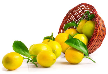 Lemons in basket isolated on white