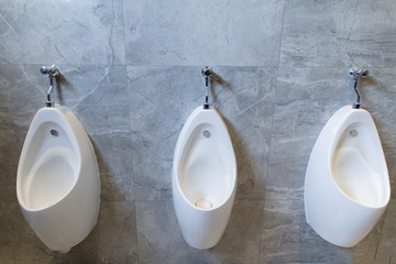 Urinals and rock wall in public toilet