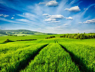Green fields of Moravia