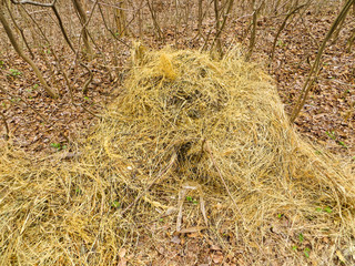 haystack