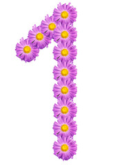 number 1 composed of colors purple asters. Isolated on white bac