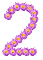number 2 composed of colors purple asters. Isolated on white bac