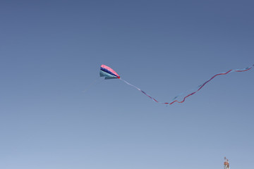 beautiful kite in the sky