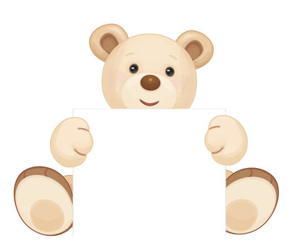 Vector cute brown bear holding blank isolated.