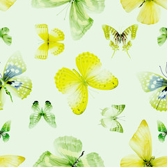butterfly seamless 04 green