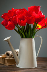 Tulips in watering