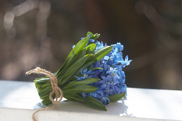 blue spring flowers

