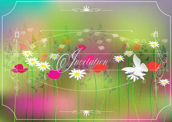  invitation card. field flowers and a butterfly on a colored background