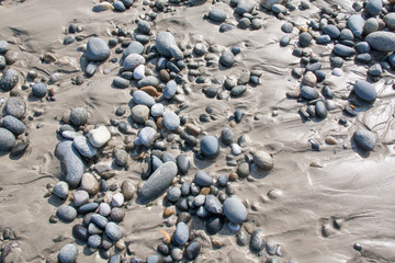 Fototapeta na wymiar Galets sur le sable à la plage