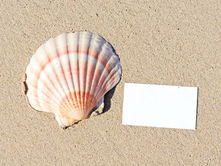 blank white card with copy space. Beach scene with shell and white sign.