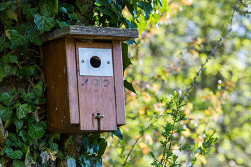 Birdhouse in a Swiss forest