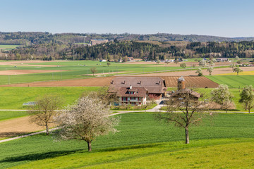 Fototapeta na wymiar Fields near Fislisbach, Switzerland