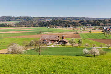 Fototapeta premium Fields near Fislisbach, Switzerland