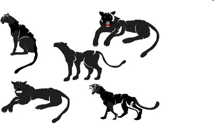 Set of vector panters isolated on white. black panters big hunter cats