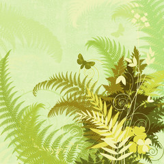 The background image entwined fern leaves and meadow herbs.