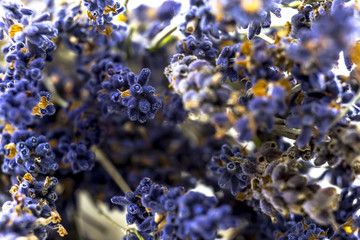 Closeup View of Dried Lavender Flowers, Aromatic