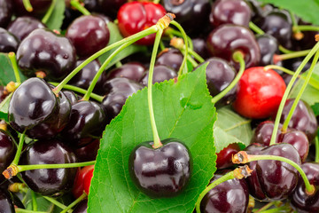 cherries