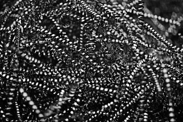 background iron shavings