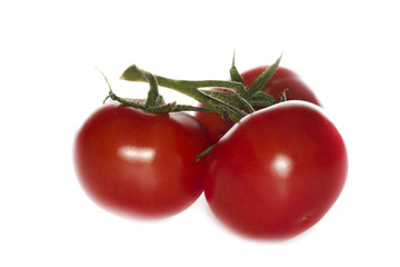 tomatoes isolated