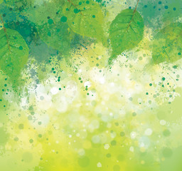 Fototapeta na wymiar Vector abstract, spring green leaves, nature background.