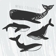 Obraz premium whales' silhouettes set
