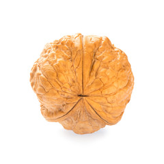 Single walnut isolated on a white background