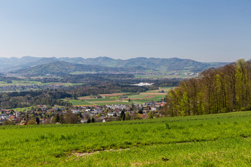 Fototapeta na wymiar Meadow on Mountain Heitersberg with view to Jura Chain, near Zur