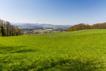 Meadow on Mountain Heitersberg with view to Jura Chain, near Zur