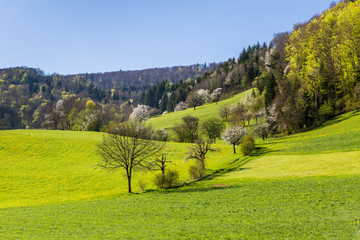 View of Mountain Wasserflueh, Switzerland