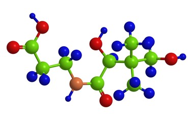 Molecular structure of panthotenic acid (vitamin B5)