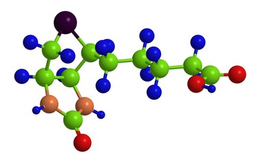 Molecular structure of biotin (vitamin B7)