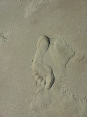Impronta sulla sabbia