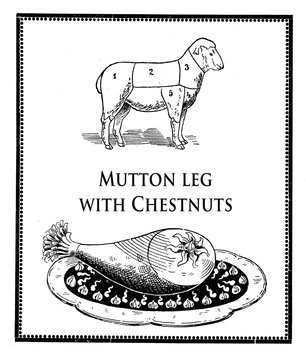 Vintage food, roasted mutton leg and mutton table with numbered