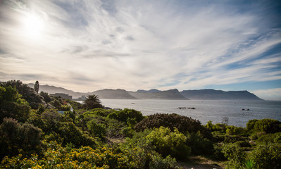 Boulders Beach, Cape Town