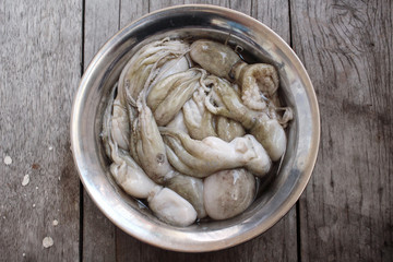 Fresh octopus food
