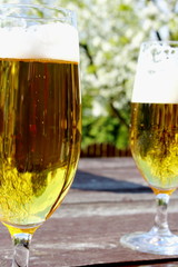 Szklanka z piwem na stoliku w ogrodzie. - obrazy, fototapety, plakaty