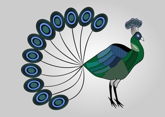 Isolated colorful peacock illustration with hatched patterned body parts, decorative bird, anti-stress coloring