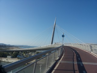 Naklejka premium Ponte su lungomare