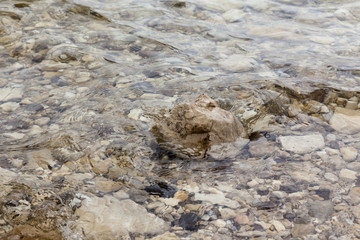 Brown boulder surrounded by waves and ripples various rocks under water background