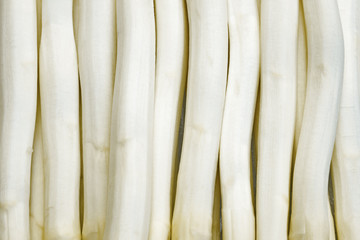 Detail of group of white asparagus creating a texture