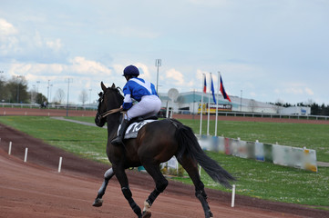 course hippique