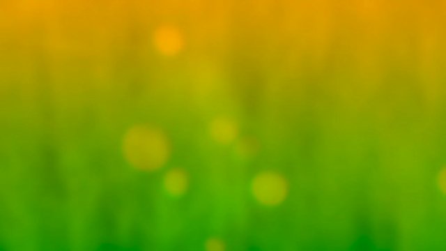 Random moving bokeh shapes over green and yellow background