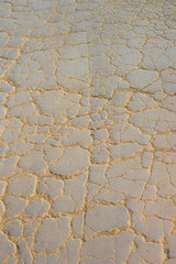 dry soil pressed tightly in country road